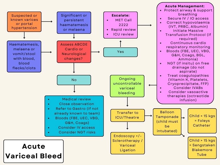 Acute Variceal Bleed 2023